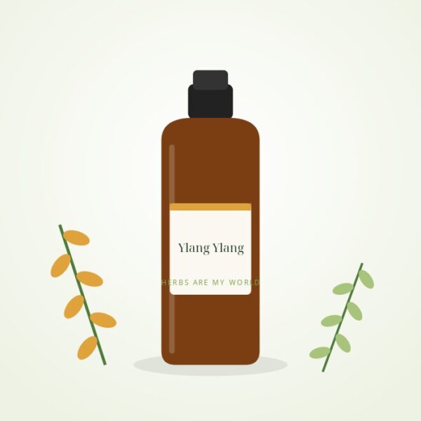 Ylang Ylang